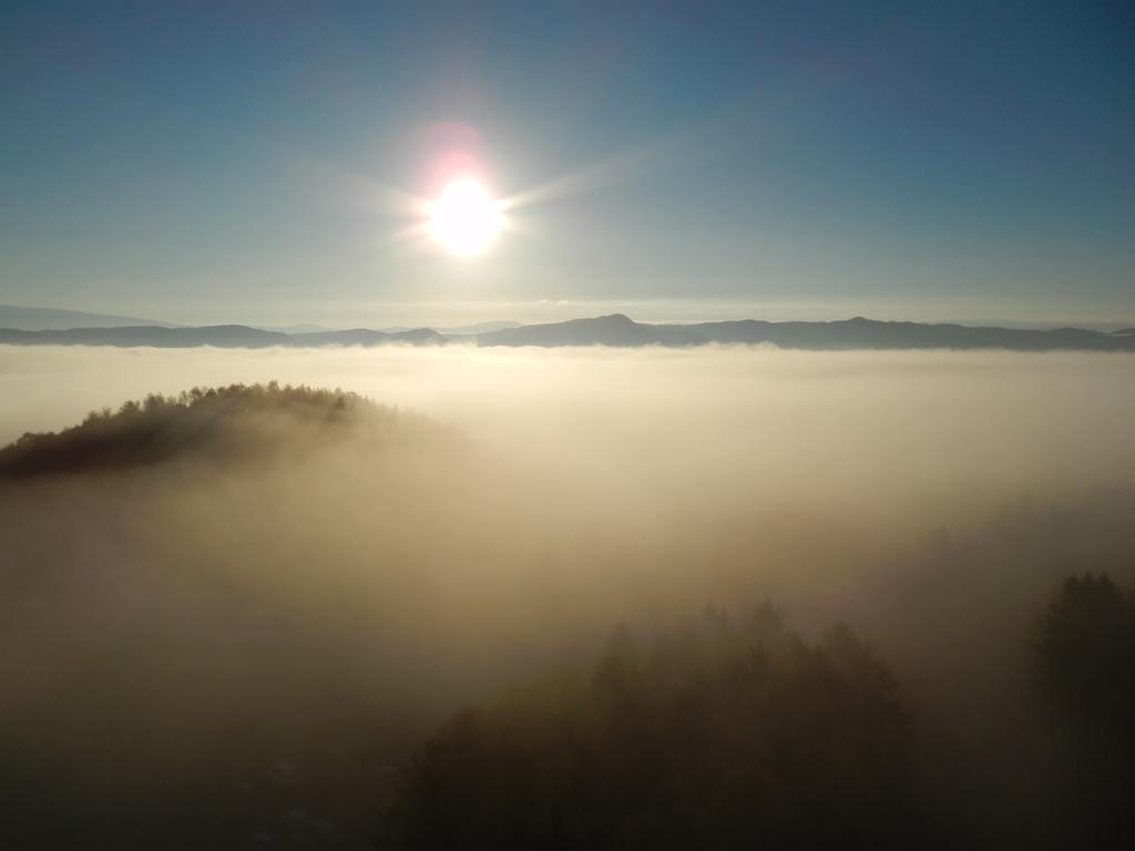 Shin Furano Prince Hotel Eksteriør billede Fog over the Black Forest